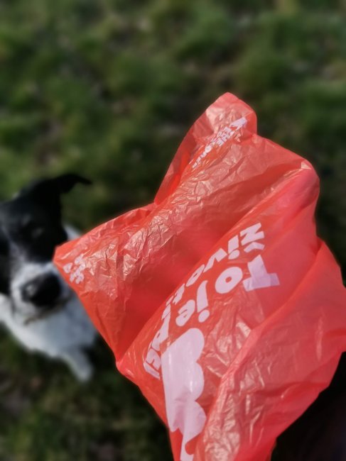EXPLORER DOG  Biodegradowalne woreczki na psie odchody, 15 szt w rolce